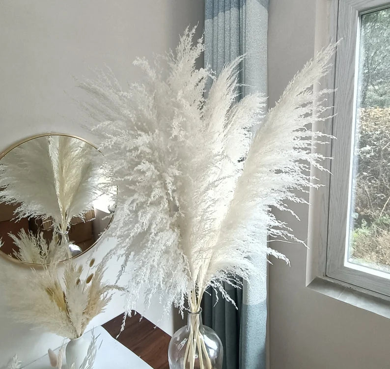 Natural Pampas Grass